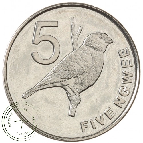 Замбия 5 нгве 2012 — 937040888
