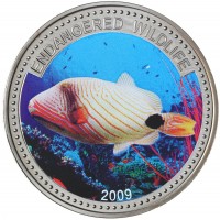 Монета Палау 1 доллар 2009 Вымирающие виды - Оранжевополосый балистап