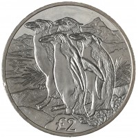 Монета Южная Георгия 2 фунта 2019 Золотоволосые пингвины