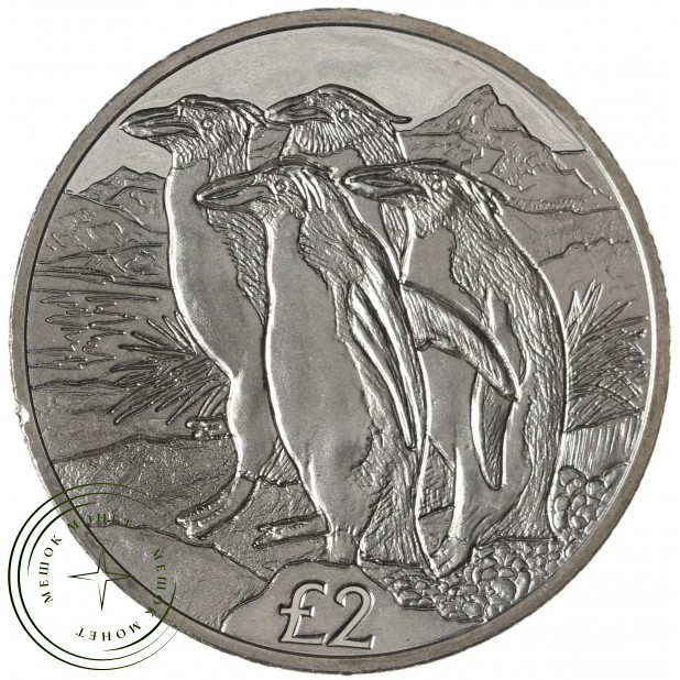 Южная Георгия 2 фунта 2019 Золотоволосые пингвины