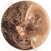 Монета Монголия 250 тугриков 2021 Дикая Монголия - Мистический Волк