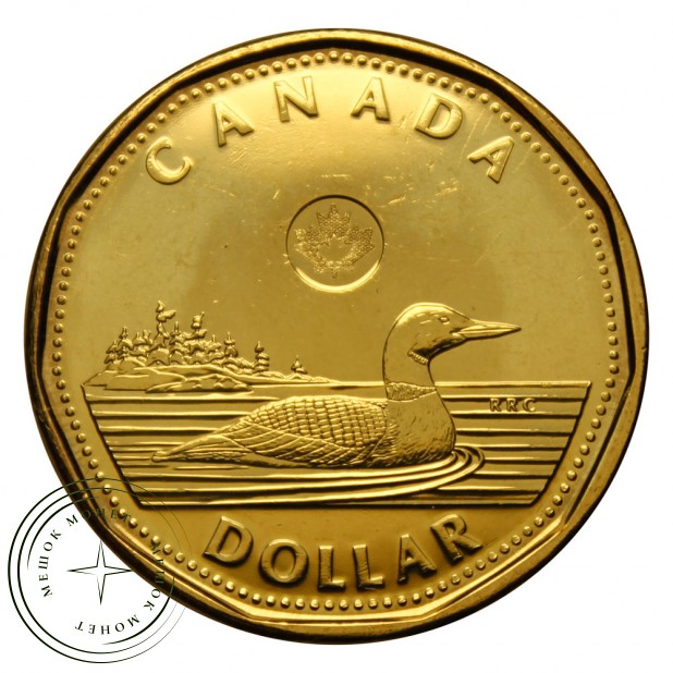 Канада 1 доллар 2013 Черноклювая гагара