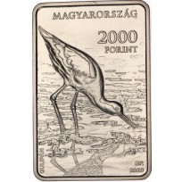 Монета Венгрия 2000 форинтов 2020 45 лет национальному парку "Кишкуншаг"