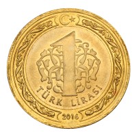 Монета Турция 1 лира 2016 В память о мучениках 15 июля