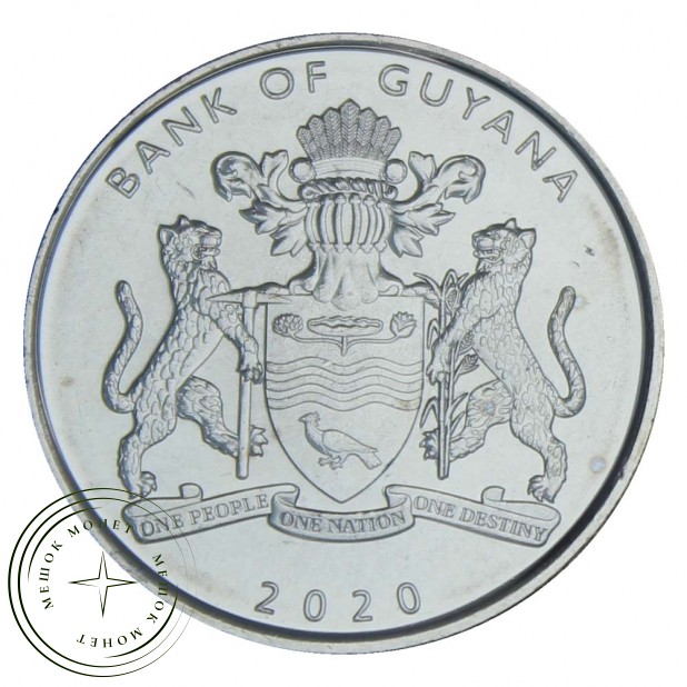 Гайана 100 долларов 2020 50 лет Кооперативной Республике Гайана - 937031061