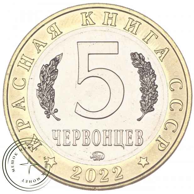 Россия Монетовидный жетон 5 червонцев 2022 ММД Иглоногая Сова (Красная Книга)