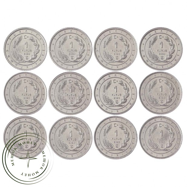 Турция набор монет 1 куруш 2020 Птицы Анатолии (12 штук)