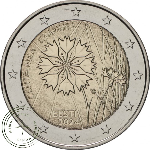 Эстония 2 евро 2024 Василёк