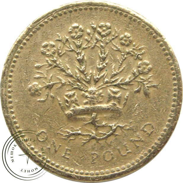 Великобритания 1 фунт 1991