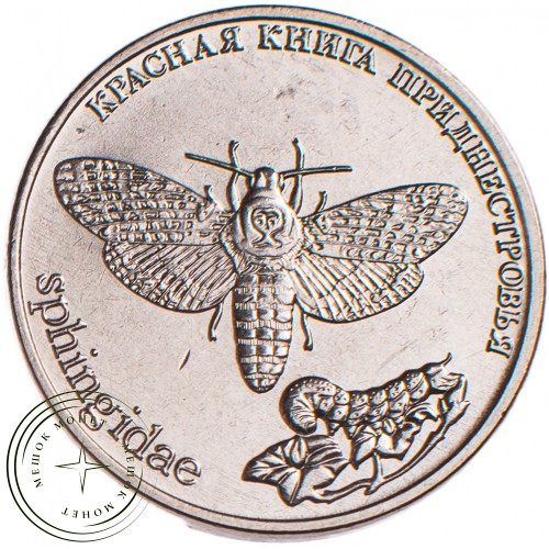 Приднестровье 1 рубль 2018 Бабочка Адамова голова — 87123127