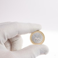 Монета 10 рублей 2006 Приморский край