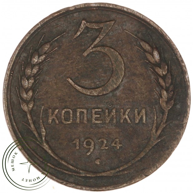 3 копейки 1924 — 55602517