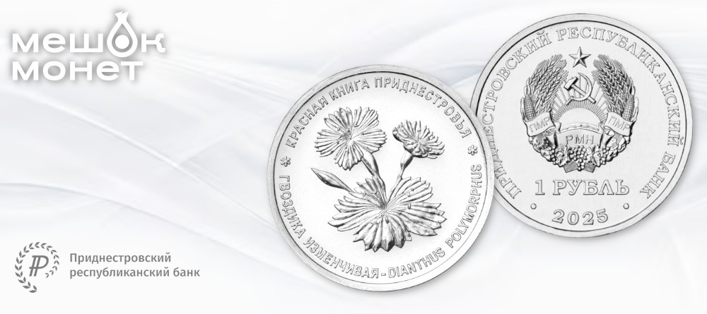 Памятная монета Приднестровья 2025: гвоздика изменчивая