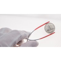 Монета 5 рублей 2016 Кишинев UNC