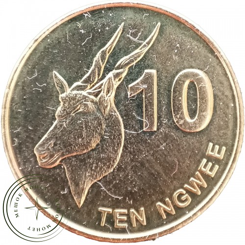 Замбия 10 нгве 2012
