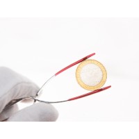 Монета 10 рублей 2009 Великий Новгород СПМД UNC