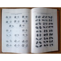 Мельникова А.С. Русские монеты от Ивана Грозного до Петра Первого. История русской денежной системы с 1533 по 1682 год