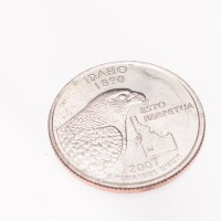 Монета США 25 центов 2007 Айдахо