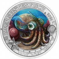 Австрия 3 евро 2024 Гавайский карликовый кальмар (Zwergtintenfisch)