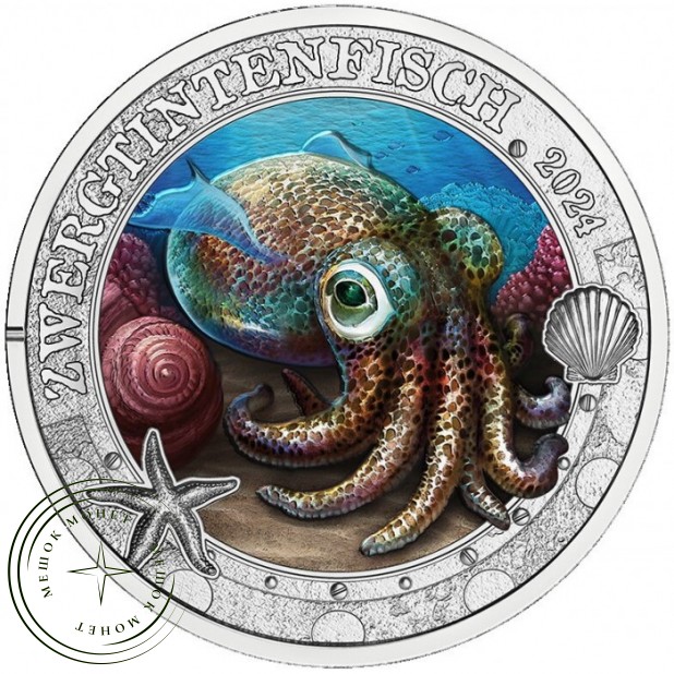 Австрия 3 евро 2024 Гавайский карликовый кальмар (Zwergtintenfisch) — 937046805