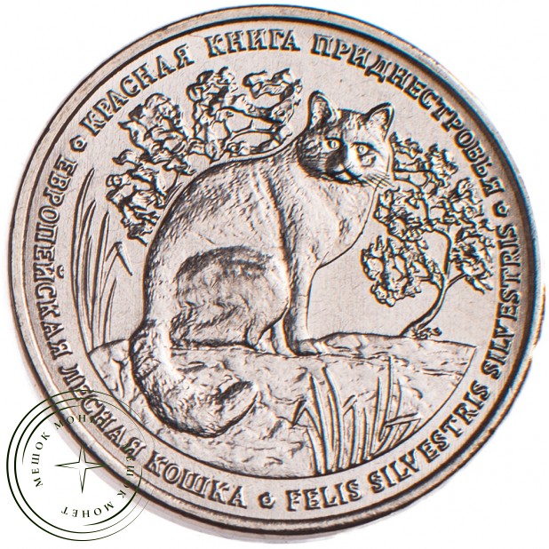 Приднестровье 1 рубль 2020 Европейская лесная кошка