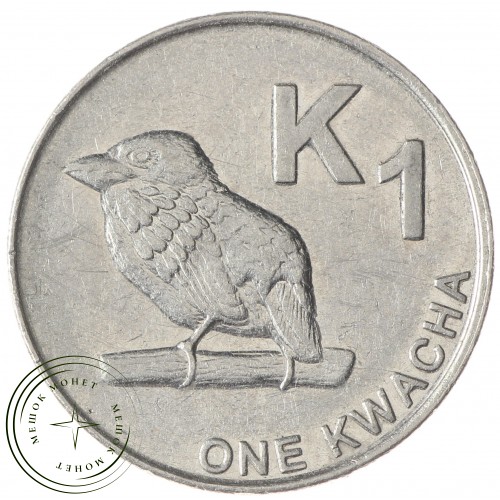 Замбия 1 квача 2014