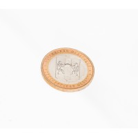 Монета 10 рублей 2007 Новосибирская область UNC