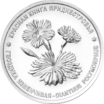 Монета Приднестровье 1 рубль 2025 Гвоздика изменчивая