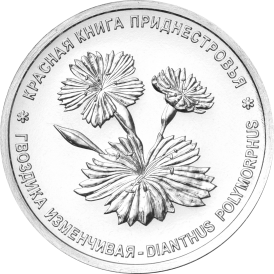 Монета Приднестровье 1 рубль 2025 Гвоздика изменчивая