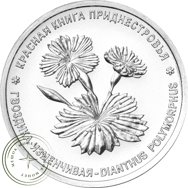 Приднестровье 1 рубль 2025 Гвоздика изменчивая — 937045988
