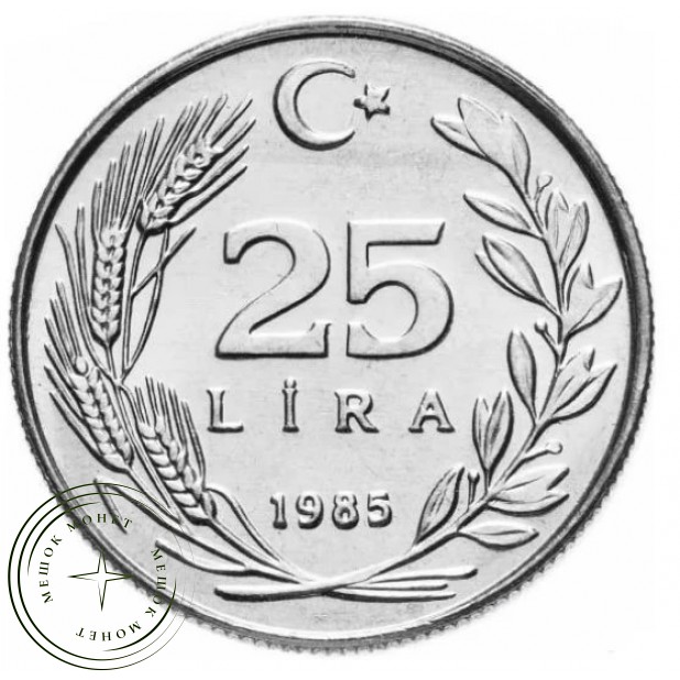 Турция 25 лир 1985 - 1988 случайный выбор — 937043939