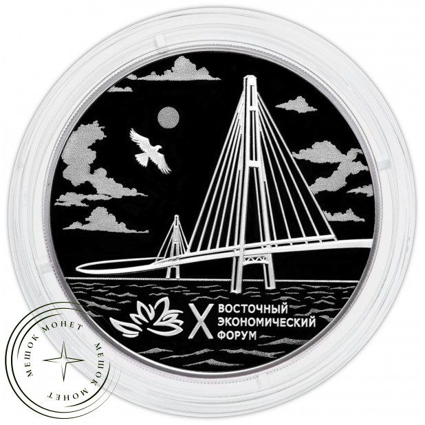 3 рубля 2025 X Восточный экономический форум — 937045248