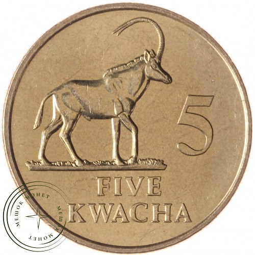 Замбия 5 квача 1992