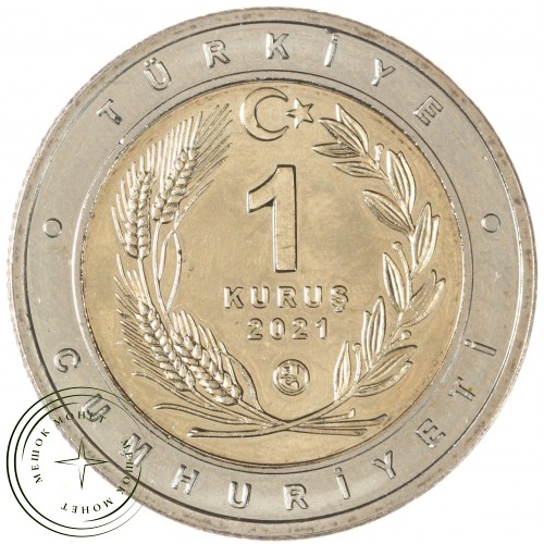 Турция 1 лира 2021 Каталбурун — 937045292