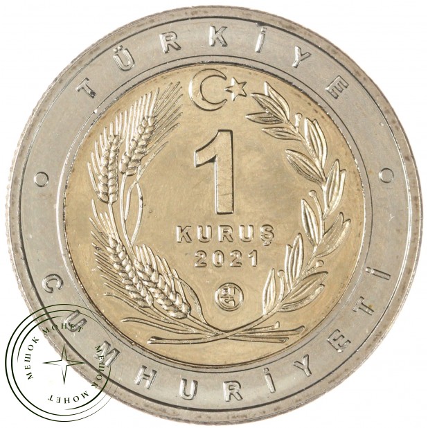 Турция 1 лира 2021 Каталбурун