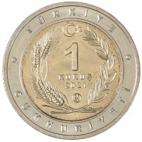 Монета Турция 1 лира 2021 Каракал