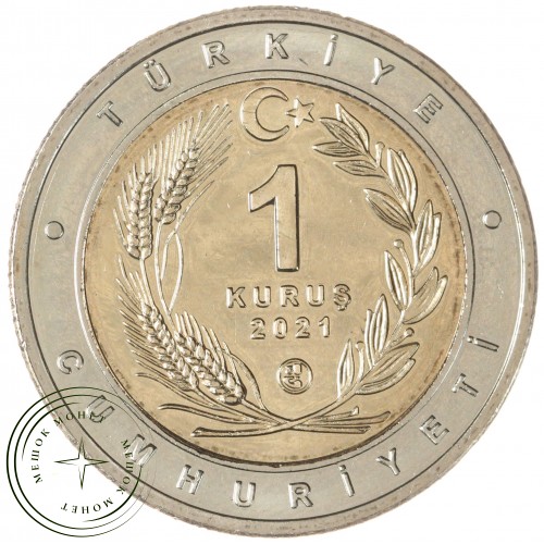 Турция 1 лира 2021 Каракал  — 937045293