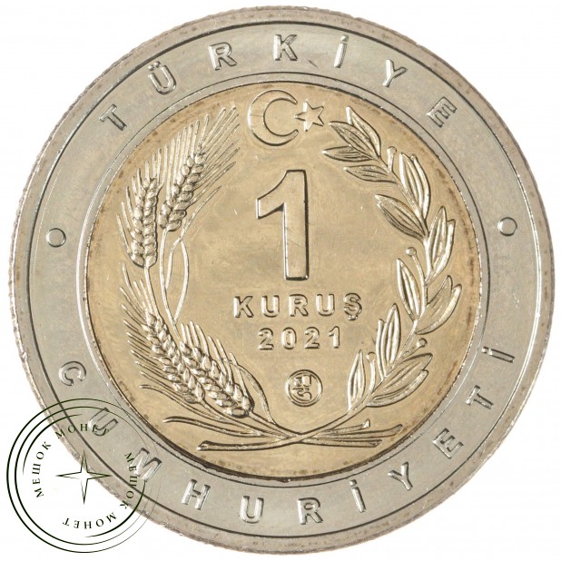 Турция 1 лира 2021 Каракал 