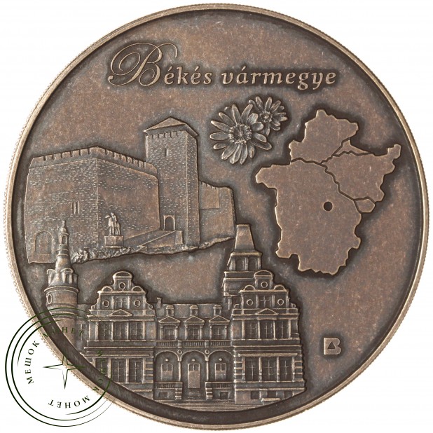 Венгрия 3000 форинтов 2025 Области и города Венгрии - Бекеш, г. Бекешчаба — 937045789