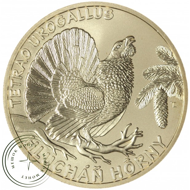 Словакия 5 евро 2021 Медоносная пчела — 937045790