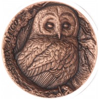 Монета Самоа 25 центов 2023 Дупло дерева — Неясыть