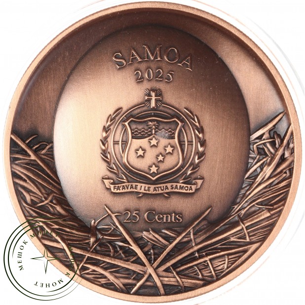 Самоа 25 центов 2025 Дупло дерева - Короткоухая сова — 937045906