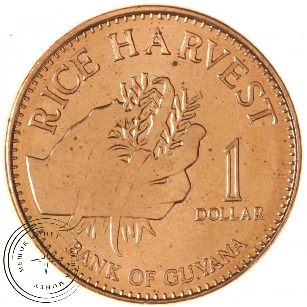 Гайана 1 доллар 1996 — 937046115