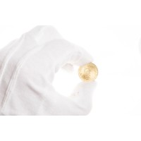 Монета 10 рублей 2016 ГВС Петрозаводск