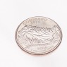 США 25 центов 2006 Колорадо