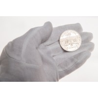 Монета 5 рублей 1990 Большой дворец в Петродворце PROOF