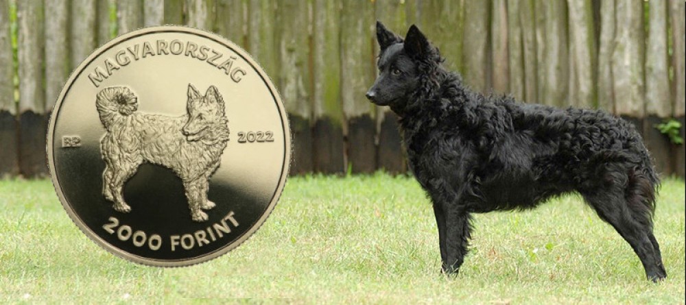 Венгерский монетный двор выпускает монету с изображением Муди
