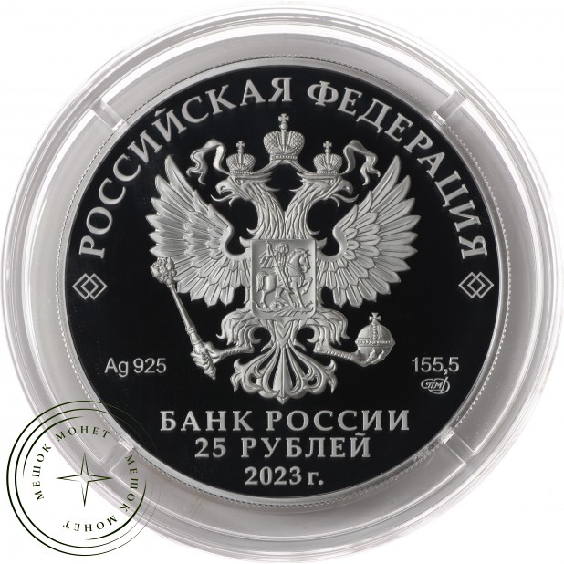 25 рублей 2023 Александровская слобода