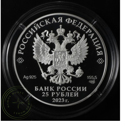 25 рублей 2023 Александровская слобода