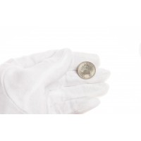 Монета 1 рубль 2001 10 лет СНГ